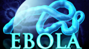 ebola4